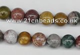 CAA231 15.5 inches 10mm round ocean agate gemstone beads wholesale