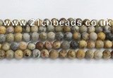 CAA2352 15.5 inches 12mm round crazy lace agate beads wholesale