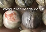 CAA2375 15.5 inches 14mm round ocean agate beads wholesale