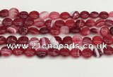 CAA4591 15.5 inches 12mm flat round banded agate beads wholesale