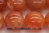 CAA5927 15 inches 12mm round red botswana agate beads