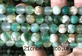 CAA6247 15 inches 8mm round green sakura agate beads