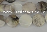 CAB100 15.5 inches 14mm coin natural brazil agate gemstone beads