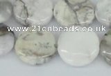 CAB102 15.5 inches 20mm flat round natural brazil agate beads