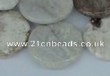 CAB103 15.5 inches 30mm flat round natural brazil agate beads