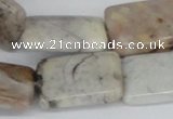 CAB112 15.5 inches 18*25mm rectangle natural brazil agate beads