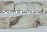 CAB113 15.5 inches 15*30mm rectangle natural brazil agate beads