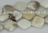 CAB121 15.5 inches 12*12mm diamond natural brazil agate beads