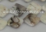 CAB122 15.5 inches 16*16mm diamond natural brazil agate beads