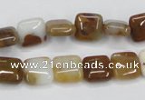 CAB602 15.5 inches 10*10mm square mexican agate gemstone beads wholesale