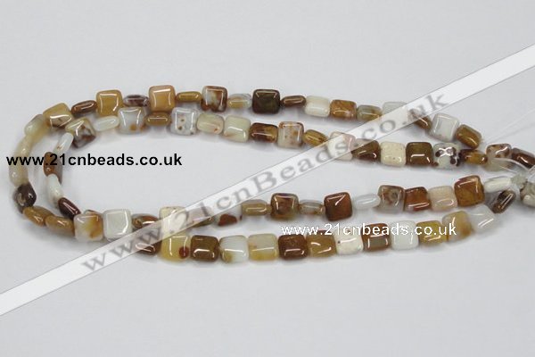 CAB602 15.5 inches 10*10mm square mexican agate gemstone beads wholesale