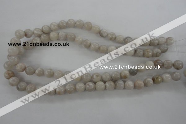 CAG1897 15.5 inches 10mm round grey agate beads wholesale