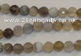 CAG2421 15.5 inches 6mm faceted round Chinese botswana agate beads
