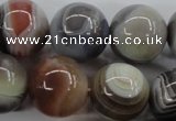 CAG3688 15.5 inches 20mm round botswana agate beads wholesale