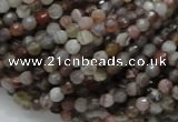 CAG742 15.5 inches 4mm faceted round botswana agate beads wholesale