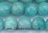CAM1781 15 inches 8mm - 9mm round amazonite gemstone beads