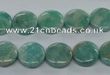 CAM500 15.5 inches 12mm coin mexican amazonite gemstone beads