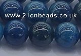 CAP364 15.5 inches 12mm round apatite gemstone beads wholesale