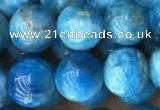 CAP590 15.5 inches 10mm round apatite beads wholesale