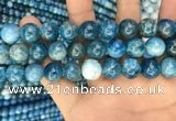 CAP602 15.5 inches 12mm round natural apatite beads wholesale