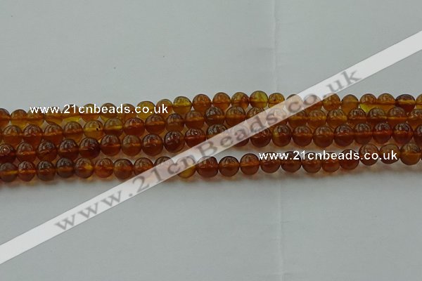 CAR526 15.5 inches 5mm - 6mm round natural amber beads wholesale