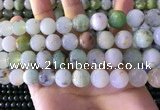 CAU464 15.5 inches 13mm - 14mm round Australia chrysoprase beads