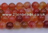 CBC410 15.5 inches 4mm AA grade round orange chalcedony beads