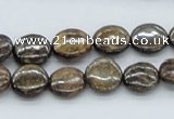 CBZ01 15.5 inches 12mm flat round bronzite gemstone beads wholesale
