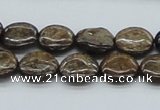 CBZ02 15.5 inches 14mm flat round bronzite gemstone beads wholesale