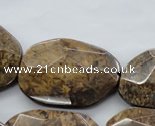 CBZ327 15.5 inches 20*30 � 30*40mm faceted freeform bronzite beads