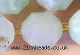 CCB1021 15 inches 11*12mm faceted Australia chrysoprase beads