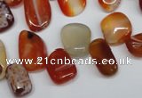 CCH333 15.5 inches 10*15mm red agate chips gemstone beads wholesale