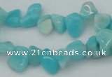 CCH631 15.5 inches 6*8mm - 10*14mm Peru amazonite chips beads
