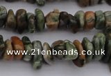 CCH662 15.5 inches 5*8mm - 6*10mm rhyolite gemstone chips beads