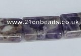 CDA87 15.5 inches 18*25mm flat column dogtooth amethyst beads
