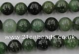 CDJ253 15.5 inches 10mm round Canadian jade beads wholesale