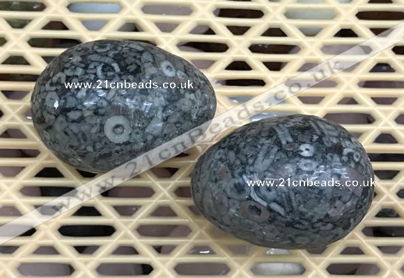 CDN347 35*50mm egg-shaped fossil jasper decorations wholesale