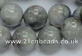 CEE06 15.5 inches 16mm round eagle eye jasper beads wholesale
