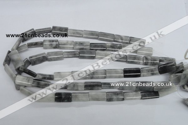 CEE211 15.5 inches 12*20mm flat tube eagle eye jasper beads