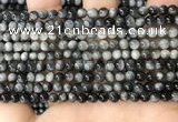 CEE540 15.5 inches 4mm round eagle eye jasper gemstone beads