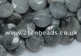 CEE58 15.5 inches 14mm faceted coin eagle eye jasper beads