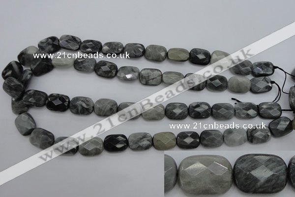 CEE81 15.5 inches 12*16mm faceted rectangle eagle eye jasper beads