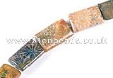 CFC10 10*14mm rectangle 15.5 inch fossil coral  beads Wholesale