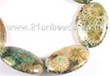 CFC20 15.5 inches 18*25mm oval fossil coral  beads Wholesale