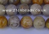 CFC203 15.5 inches 10mm round fossil coral beads wholesale