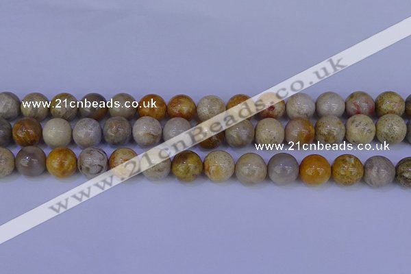 CFC204 15.5 inches 12mm round fossil coral beads wholesale