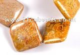 CFC23 15.5 inches 20mm rhombus fossil coral  beads Wholesale