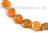CFC24 15.5 inches 10mm coin fossil coral  beads Wholesale