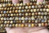CFC321 15.5 inches 6mm round fossil coral beads wholesale
