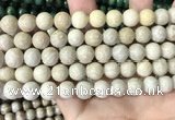 CFC335 15.5 inches 10mm round fossil coral beads wholesale